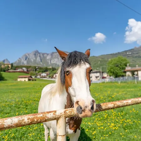 Iris - Relaxing Alpine Getaway Апартаменты