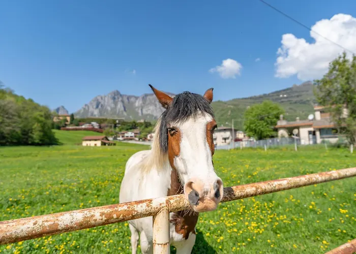 Iris - Relaxing Alpine Getaway Διαμέρισμα