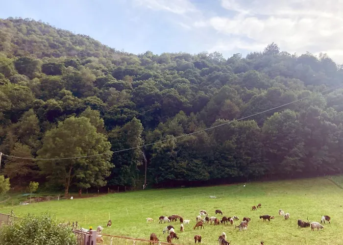 Iris - Relaxing Alpine Getaway