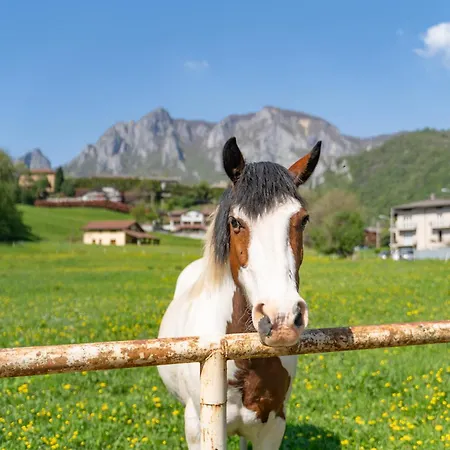 Iris - Relaxing Alpine Getaway Appartamento