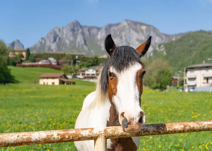 Iris - Relaxing Alpine Getaway شقة